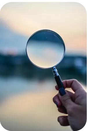 lucyy coach management accompagnement direction collectif individuel toulouse montauban article vision occitanie 3 300ko