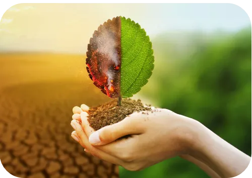 lucyy coach management accompagnement direction collectif individuel toulouse montauban article coaching gestion talent développement carrière toulouse 2