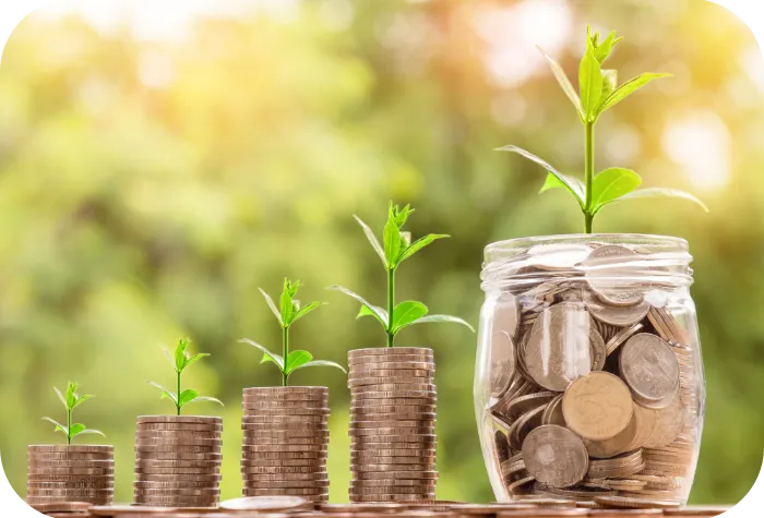 lucyy coach management accompagnement direction collectif individuel toulouse montauban article formation témoignage vente 2