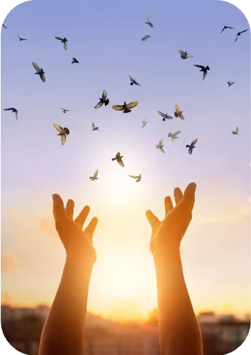 lucyy coach management accompagnement direction collectif individuel toulouse montauban article formation témoignage vente 3